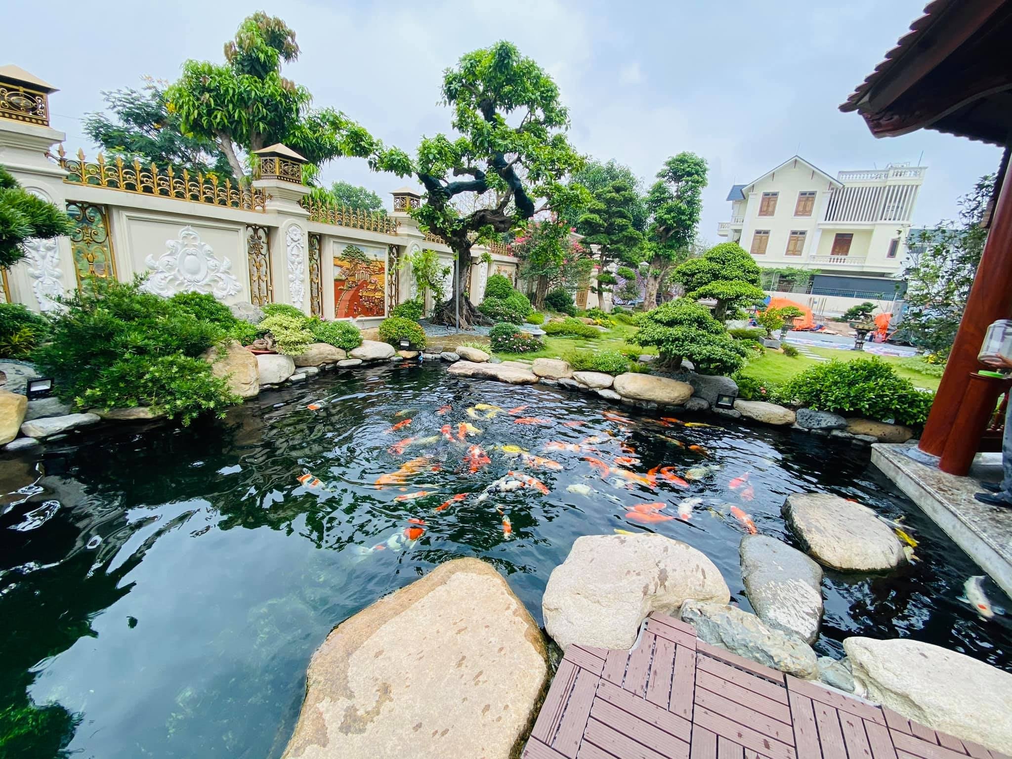 Thi công sân vườn Nha Trang